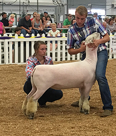 PArker Farms Winners